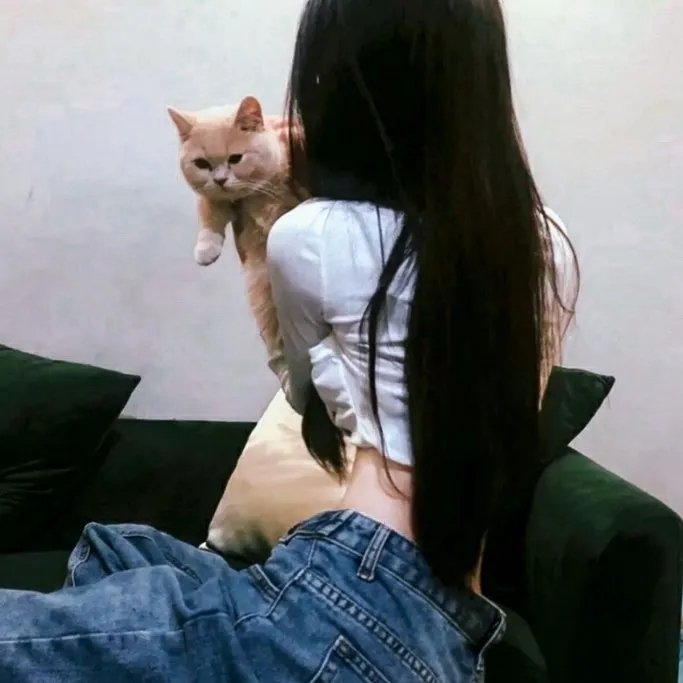 飞鹰人